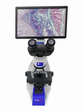 Med-Scope MedDI4-P2 – Physician Compound Microscope Digital Head Infinity Corrected Plan Phase 4X / 10X / 40X / 100X External DC Auto Switching Power Supply / 110 to 240V Coaxial X / Y Mechanical Stage with Adjustable Tension – MEDDI4-P2