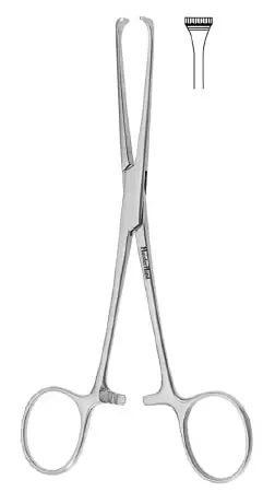 MeisterHand – Tissue Grasping Forceps Boys-Allis 6 Inch Length Surgical Grade German Stainless Steel NonSterile Ratchet Lock Finger Ring Handle Straight 5 X 6 Teeth – MH16-31