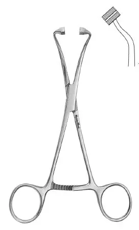 MeisterHand – Towel Clamp Peers 5-3/4 Inch Length Stainless Steel – MH7-516