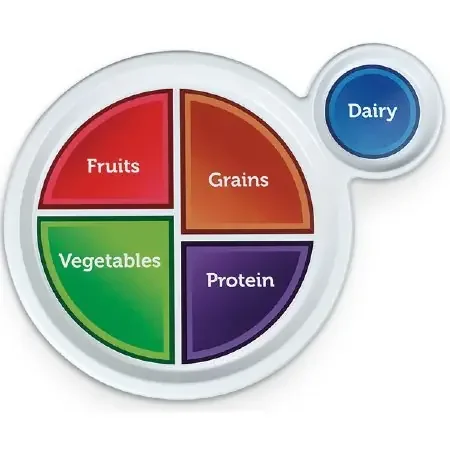 MyPlate – Nutritional Guide Plate Plastic – WA29164
