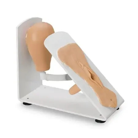 Nasco Healthcare – Female Catheterization Training Model – 160-1932