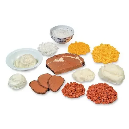 Nasco Healthcare – Food Portion Comparison Kit – WA18888