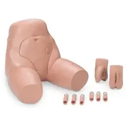 Nasco Healthcare – Interchangeable Catheterization & Enema Simulator Male and Female Genitalia, Six Connectors, and Carry Case – LG02099