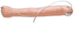 Nasco Healthcare – Training Mannequin – SB23445 L