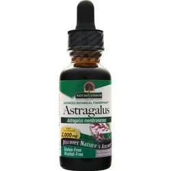 Nature’s Answer Astragalus Root (Alcohol Free) 1 fl.oz