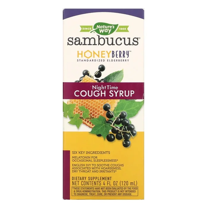 Nature’s Way, HoneyBerry NightTime Cough Syrup, 4 Oz
