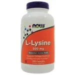 NOW Foods NOW Foods L-Lysine 500g250 Capsules