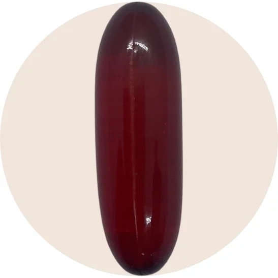 O3 – Fish Oil