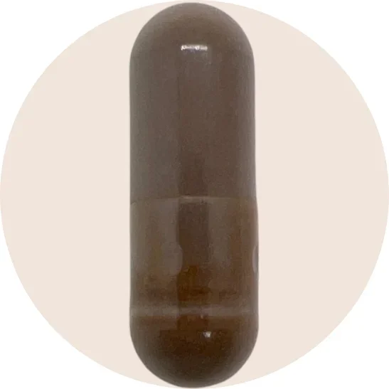 Organic Chaga Extract