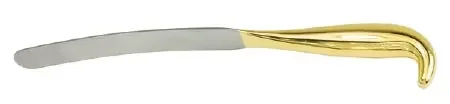Padgett Instruments – Breast Dissector and Retractor 12-1/4 Inch Length – PM-908