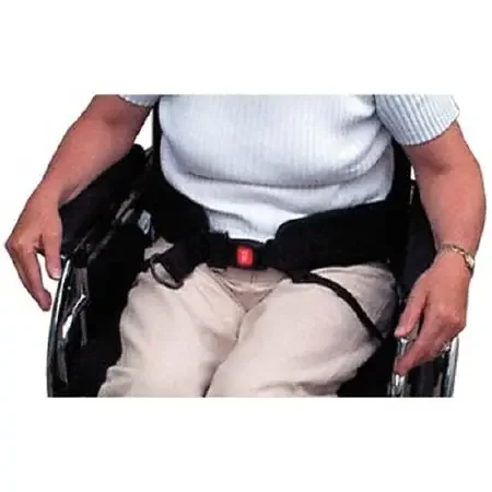 Patterson – Auto Belt One Size Fits Most Buckle 4 Point – 552766