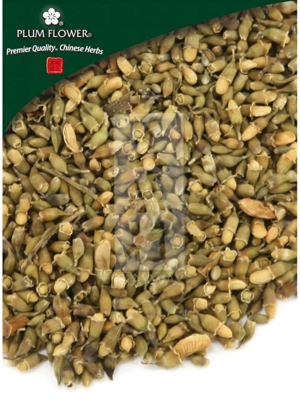 Plum Flower, Huai Hua, Sophora japonica flower, Whole Herb, 500 grams