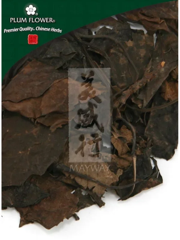 Plum Flower, Lu Xian Cao, Pyrola calliantha herb, Whole Herb, 300 grams