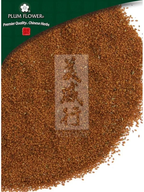 Plum Flower, Ting Li Zi, Lepidium apetalum seed, Whole Herb, 500 grams