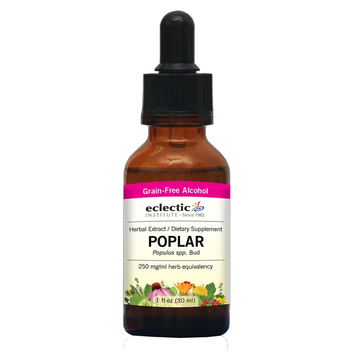 Poplar