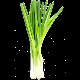 Produce Organic Green Onions–1 Each