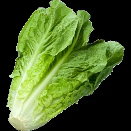 Produce Organic Romaine Lettuce-1 lb