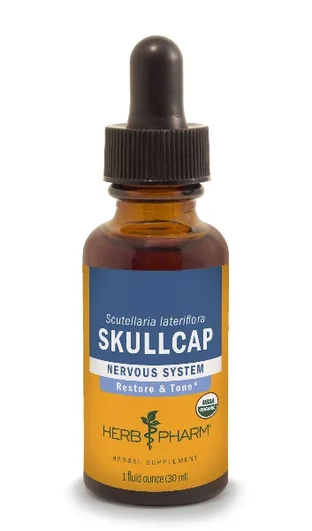 Skullcap/Scutellaria lateriflora