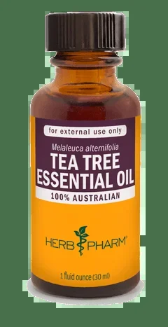 TEA TREE ESSENTIAL OIL 1 fl oz