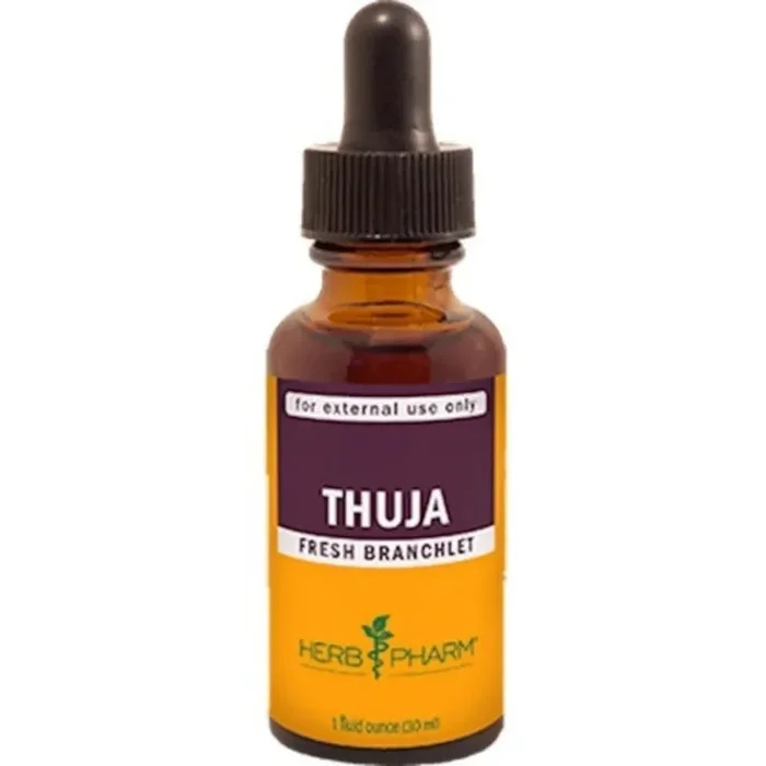 Thuja