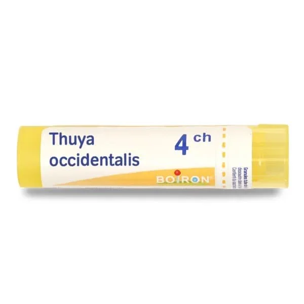 Thuya Occidentalis Granules Homeopathy Boiron