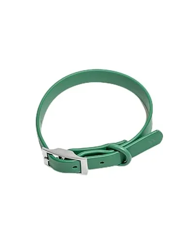 Wild One Collar – X Large Spruce