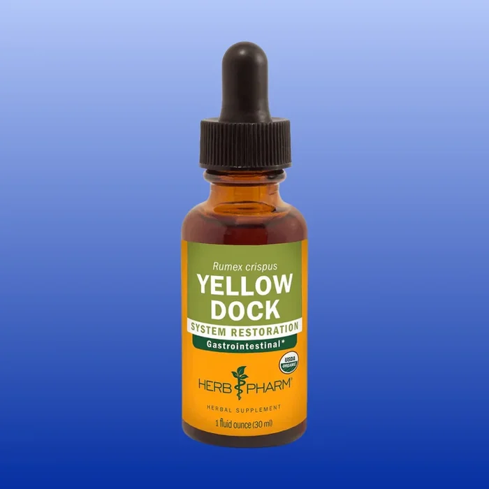 Yellow Dock 1 Oz